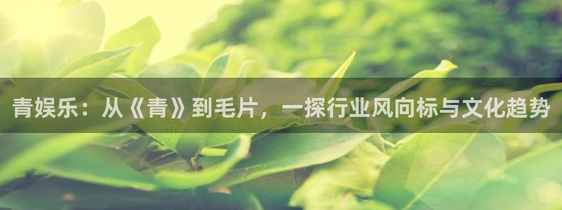 众腾娱乐：青娱乐：从《青》到毛片，一探行业风向标与文化趋势