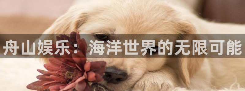 众腾娱乐：舟山娱乐：海洋世界的无限可能