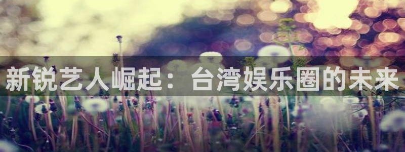 众腾娱乐：新锐艺人崛起：台湾娱乐圈的未来